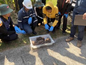 iwEZAqNqcGcDAQTRBNwF0QOmBrAHUn0fdjulqAltfvXhCyIAB9MAAAAJUSL0hwgACaJpbQoAC9IAAcfe.jpg_620x10000q90